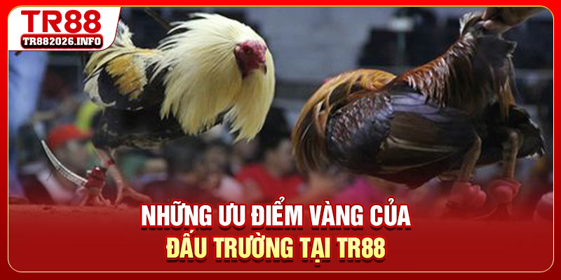 Những ưu điểm vàng của đấu trường tại TR88